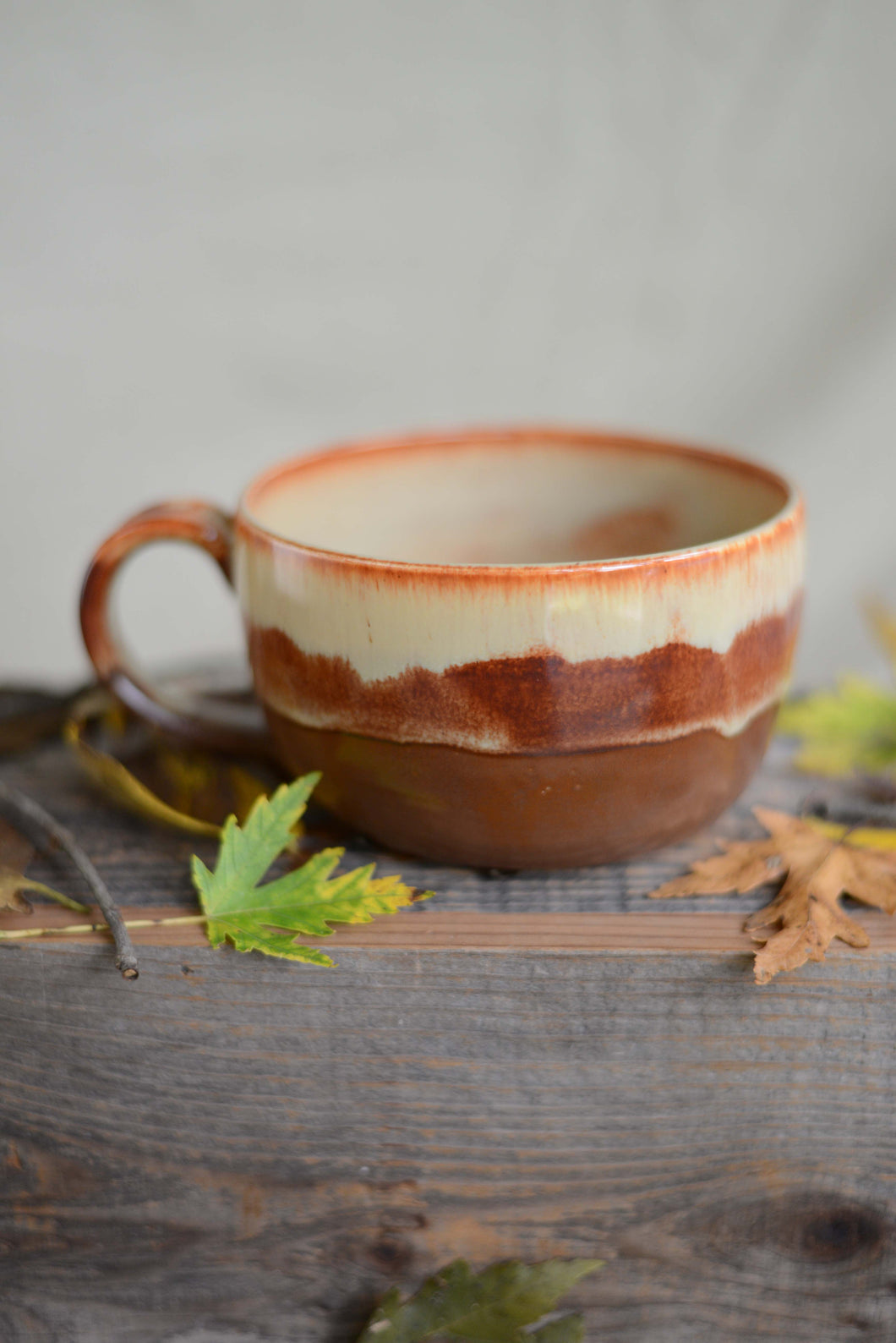 #46 Basic Soup Mug