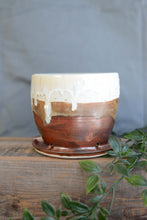 Load image into Gallery viewer, #58 Planter Pot Book Ends
