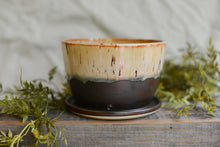 Load image into Gallery viewer, #48 Planter Pot
